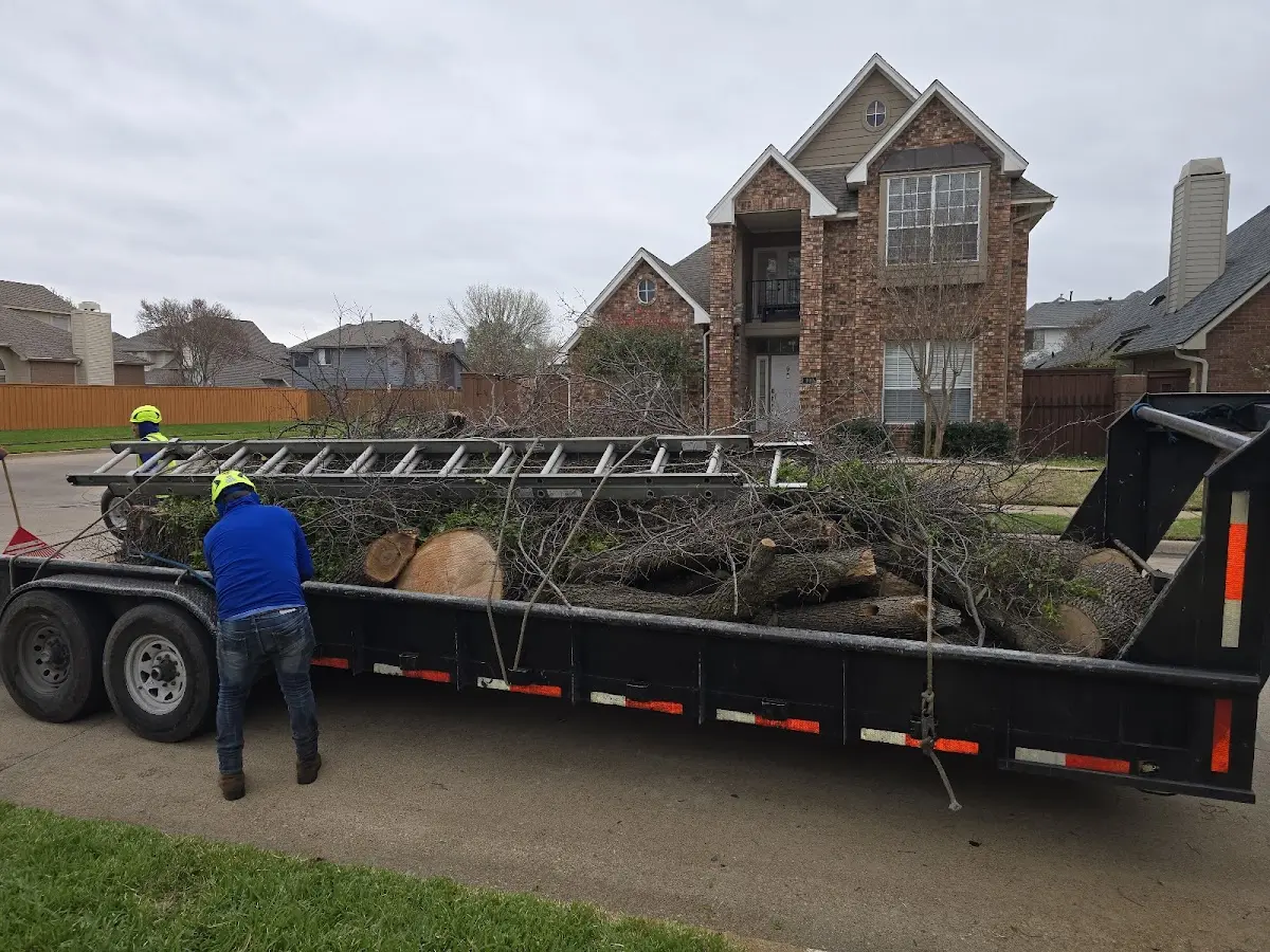 Expert Tree Fertilization with proper safety equipment in Ragland